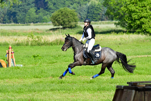 Goldene Schärpe Ponys in Löningen  4+5.6.22 | 04062022 - Gelände 1 Abt _0029 