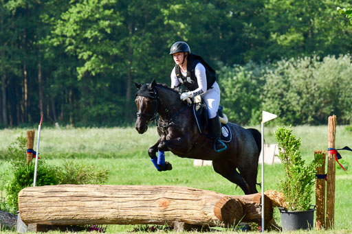 Goldene Schärpe Ponys in Löningen  4+5.6.22 | 04062022 - Gelände 1 Abt _0034 
