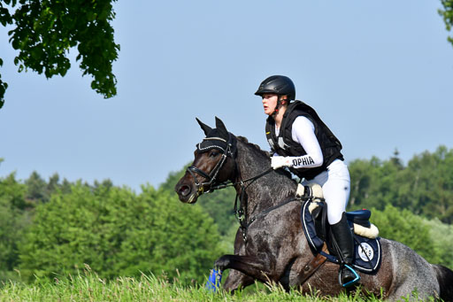 Goldene Schärpe Ponys in Löningen  4+5.6.22 | 04062022 - Gelände 1 Abt _0036 