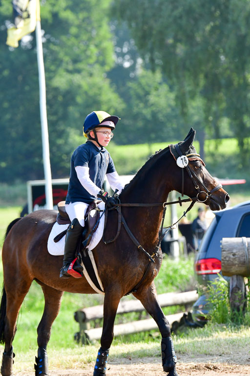 Goldene Schärpe Ponys in Löningen  4+5.6.22 | 04062022 - Gelände 1 Abt _0084 