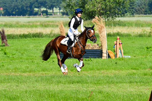 Goldene Schärpe Ponys in Löningen  4+5.6.22 | 04062022 - Gelände 1 Abt _0106 