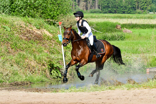 Goldene Schärpe Ponys in Löningen  4+5.6.22 | 04062022 - Gelände 1 Abt _0134 