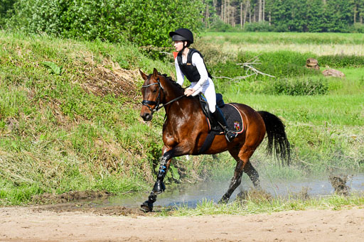 Goldene Schärpe Ponys in Löningen  4+5.6.22 | 04062022 - Gelände 1 Abt _0135 