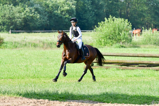Goldene Schärpe Ponys in Löningen  4+5.6.22 | 04062022 - Gelände 1 Abt _0136 