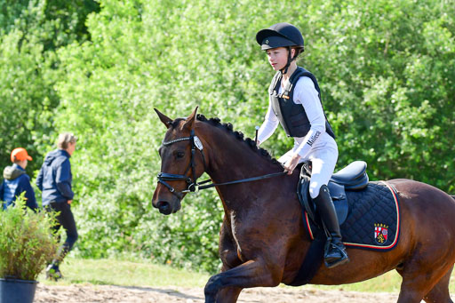 Goldene Schärpe Ponys in Löningen  4+5.6.22 | 04062022 - Gelände 1 Abt _0139 
