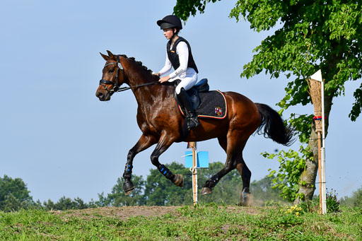 Goldene Schärpe Ponys in Löningen  4+5.6.22 | 04062022 - Gelände 1 Abt _0141 