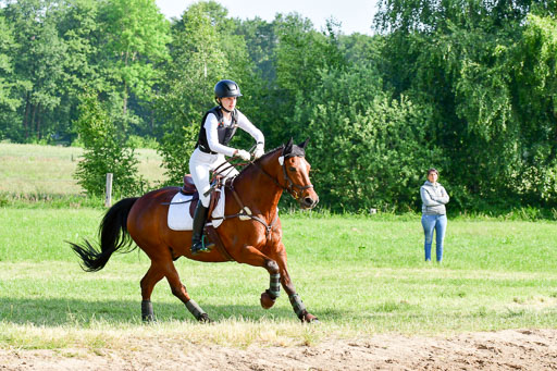 Goldene Schärpe Ponys in Löningen  4+5.6.22 | 04062022 - Gelände 1 Abt _0147 