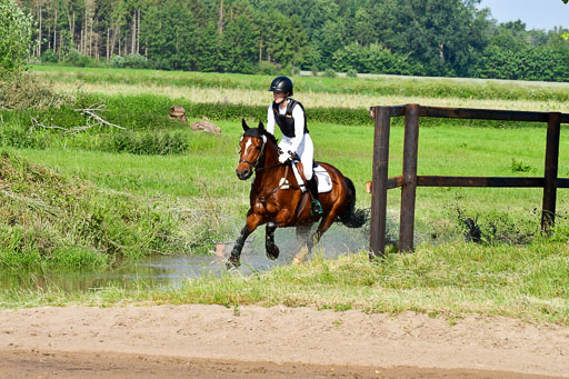 Goldene Schärpe Ponys in Löningen  4+5.6.22 | 04062022 - Gelände 1 Abt _0150 