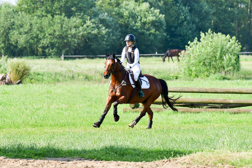 Goldene Schärpe Ponys in Löningen  4+5.6.22 | 04062022 - Gelände 1 Abt _0157 