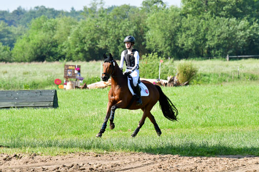 Goldene Schärpe Ponys in Löningen  4+5.6.22 | 04062022 - Gelände 1 Abt _0181 