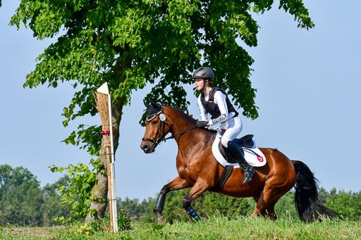 Goldene Schärpe Ponys in Löningen  4+5.6.22 | 04062022 - Gelände 1 Abt _0185 