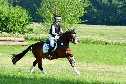Goldene Schärpe Ponys in Löningen  4+5.6.22 | 04062022 - Gelände 1 Abt _0198 