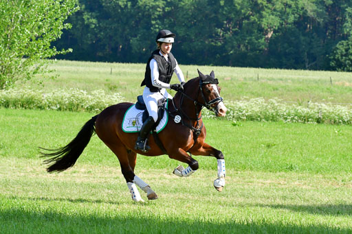 Goldene Schärpe Ponys in Löningen  4+5.6.22 | 04062022 - Gelände 1 Abt _0199 
