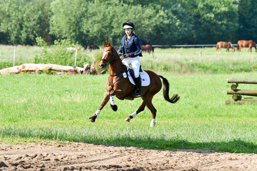 Goldene Schärpe Ponys in Löningen  4+5.6.22 | 04062022 - Gelände 1 Abt _0239 