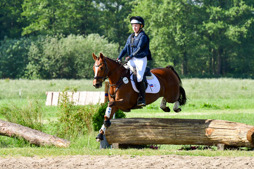 Goldene Schärpe Ponys in Löningen  4+5.6.22 | 04062022 - Gelände 1 Abt _0242 