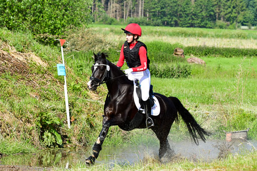 Goldene Schärpe Ponys in Löningen  4+5.6.22 | 04062022 - Gelände 1 Abt _0261 