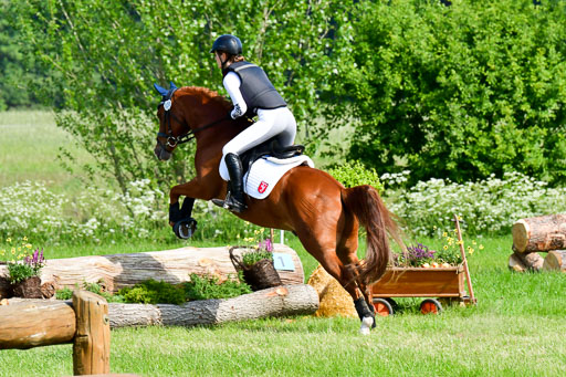 Goldene Schärpe Ponys in Löningen  4+5.6.22 | 04062022 - Gelände 1 Abt _0342 