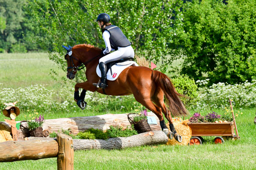 Goldene Schärpe Ponys in Löningen  4+5.6.22 | 04062022 - Gelände 1 Abt _0343 