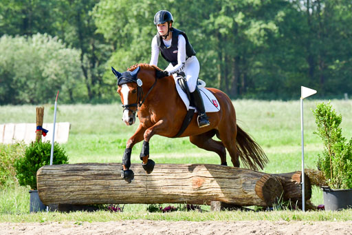 Goldene Schärpe Ponys in Löningen  4+5.6.22 | 04062022 - Gelände 1 Abt _0351 