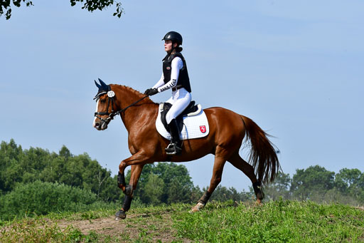 Goldene Schärpe Ponys in Löningen  4+5.6.22 | 04062022 - Gelände 1 Abt _0355 