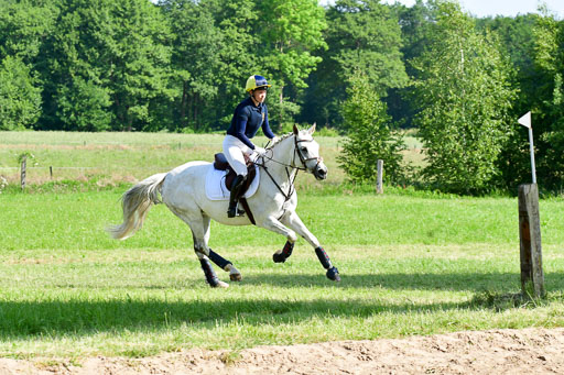 Goldene Schärpe Ponys in Löningen  4+5.6.22 | 04062022 - Gelände 1 Abt _0363 