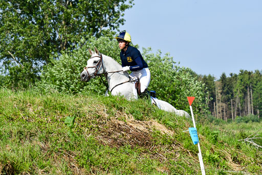 Goldene Schärpe Ponys in Löningen  4+5.6.22 | 04062022 - Gelände 1 Abt _0374 