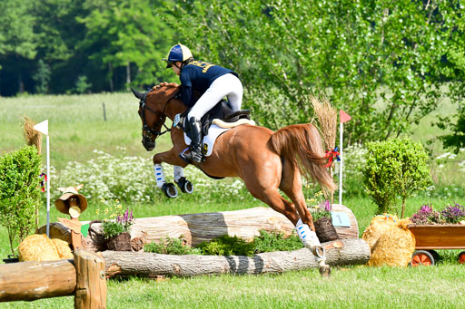 Goldene Schärpe Ponys in Löningen  4+5.6.22 | 04062022 - Gelände 1 Abt _0383 