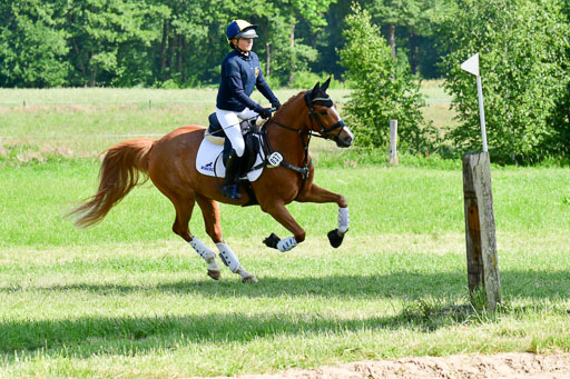 Goldene Schärpe Ponys in Löningen  4+5.6.22 | 04062022 - Gelände 1 Abt _0387 