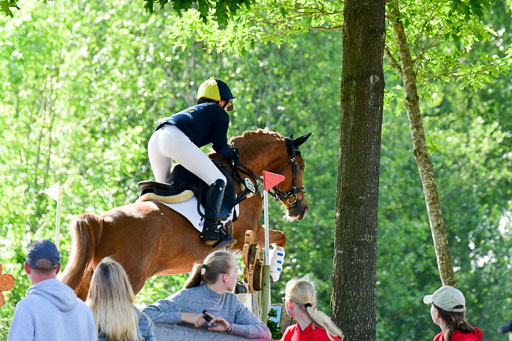 Goldene Schärpe Ponys in Löningen  4+5.6.22 | 04062022 - Gelände 1 Abt _0390 