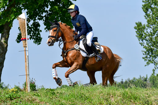 Goldene Schärpe Ponys in Löningen  4+5.6.22 | 04062022 - Gelände 1 Abt _0398 