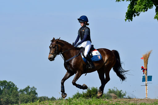 Goldene Schärpe Ponys in Löningen  4+5.6.22 | 04062022 - Gelände 1 Abt _0420 