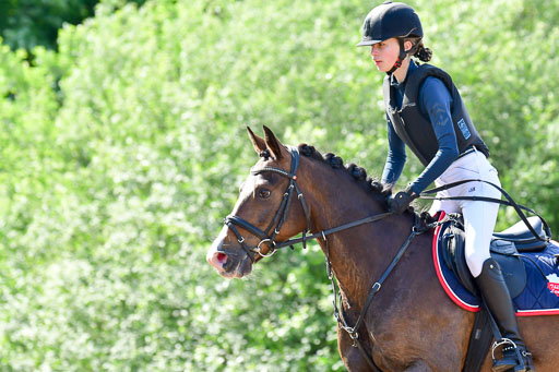 Goldene Schärpe Ponys in Löningen  4+5.6.22 | 04062022 - Gelände 1 Abt _0440 