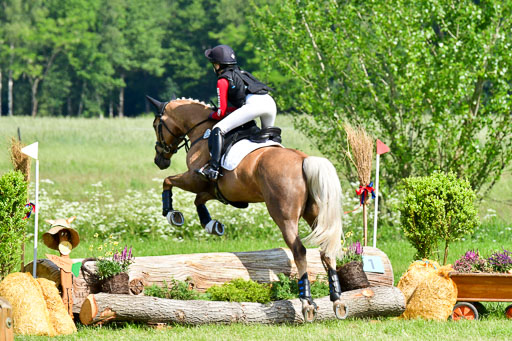 Goldene Schärpe Ponys in Löningen  4+5.6.22 | 04062022 - Gelände 1 Abt _0448 