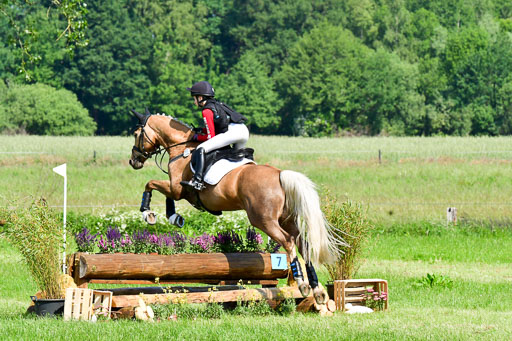 Goldene Schärpe Ponys in Löningen  4+5.6.22 | 04062022 - Gelände 1 Abt _0454 
