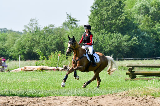 Goldene Schärpe Ponys in Löningen  4+5.6.22 | 04062022 - Gelände 1 Abt _0457 