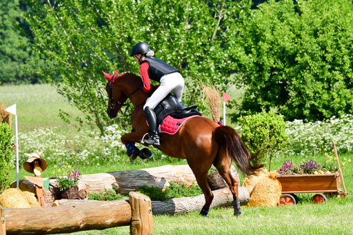 Goldene Schärpe Ponys in Löningen  4+5.6.22 | 04062022 - Gelände 1 Abt _0474 