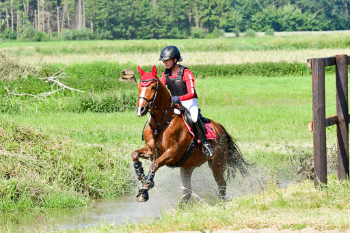 Goldene Schärpe Ponys in Löningen  4+5.6.22 | 04062022 - Gelände 1 Abt _0481 