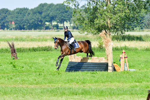 Goldene Schärpe Ponys in Löningen  4+5.6.22 | 04062022 - Gelände 1 Abt _0490 