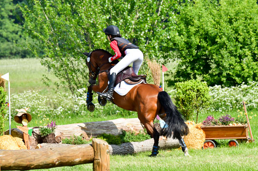 Goldene Schärpe Ponys in Löningen  4+5.6.22 | 04062022 - Gelände 1 Abt _0521 