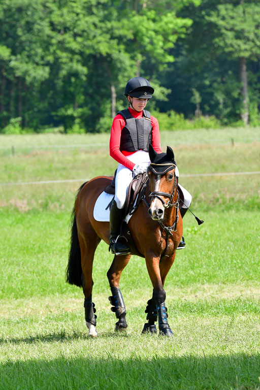 Goldene Schärpe Ponys in Löningen  4+5.6.22 | 04062022 - Gelände 1 Abt _0536 