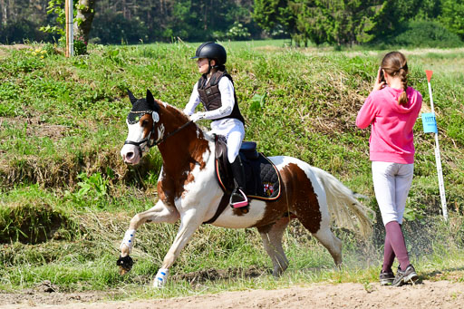 Goldene Schärpe Ponys in Löningen  4+5.6.22 | 04062022 - Gelände 1 Abt _0600 