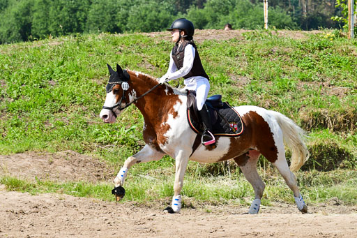 Goldene Schärpe Ponys in Löningen  4+5.6.22 | 04062022 - Gelände 1 Abt _0601 