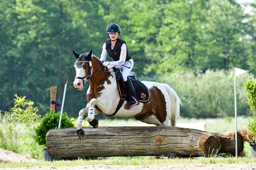 Goldene Schärpe Ponys in Löningen  4+5.6.22 | 04062022 - Gelände 1 Abt _0603 