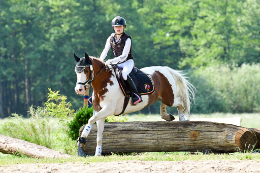 Goldene Schärpe Ponys in Löningen  4+5.6.22 | 04062022 - Gelände 1 Abt _0604 