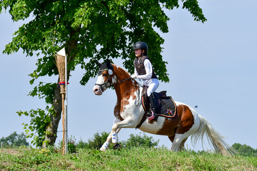 Goldene Schärpe Ponys in Löningen  4+5.6.22 | 04062022 - Gelände 1 Abt _0607 