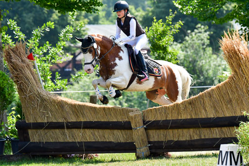 Goldene Schärpe Ponys in Löningen  4+5.6.22 | 04062022 - Gelände 1 Abt _0610 
