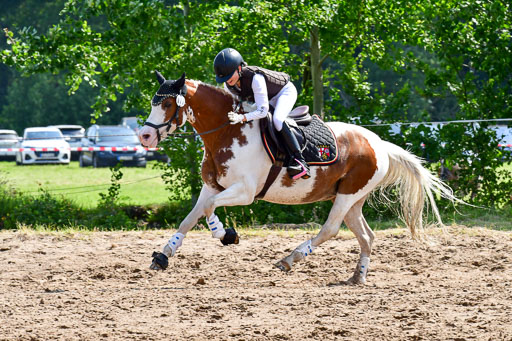 Goldene Schärpe Ponys in Löningen  4+5.6.22 | 04062022 - Gelände 1 Abt _0611 