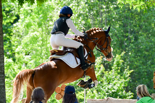 Goldene Schärpe Ponys in Löningen  4+5.6.22 | 04062022 - Gelände 1 Abt _0619 