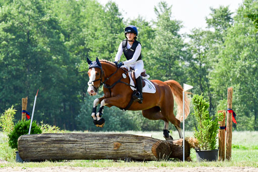 Goldene Schärpe Ponys in Löningen  4+5.6.22 | 04062022 - Gelände 1 Abt _0624 