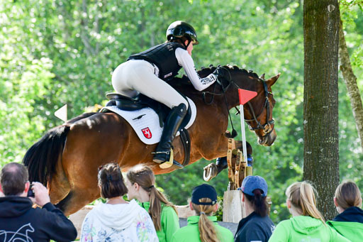 Goldene Schärpe Ponys in Löningen  4+5.6.22 | 04062022 - Gelände 1 Abt _0638 